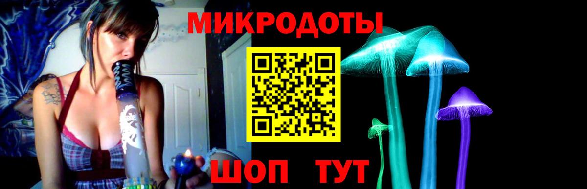 Псилоцибиновые грибы Psilocybine cubensis  Галлюциногенные грибы прущие грибы  Дальнегорск  Вход с VPN 