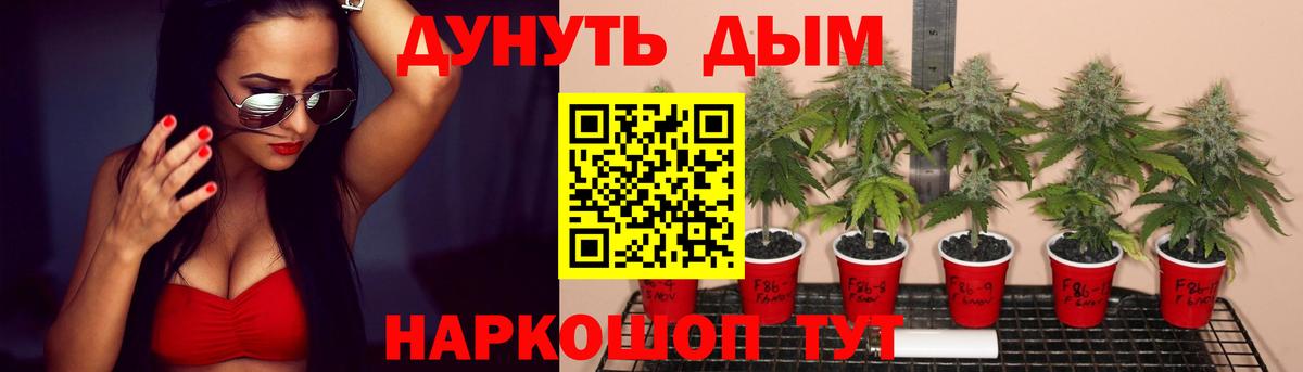 Бошки Шишки гибрид  Бошки Шишки индика  Канабис Bruce Banner  Вход с VPN  Дальнегорск 